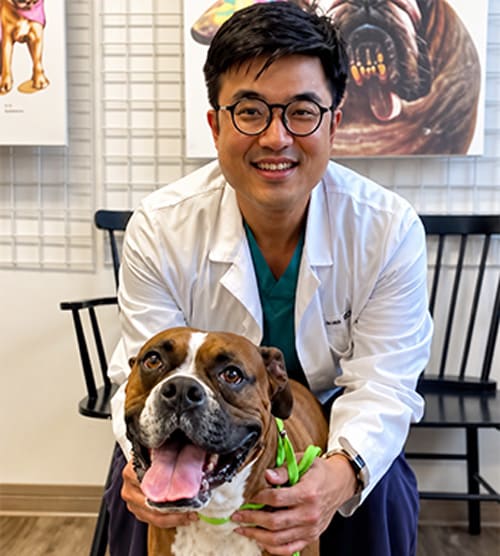 Dr. Alvin Hong, San Mateo Veterinarian